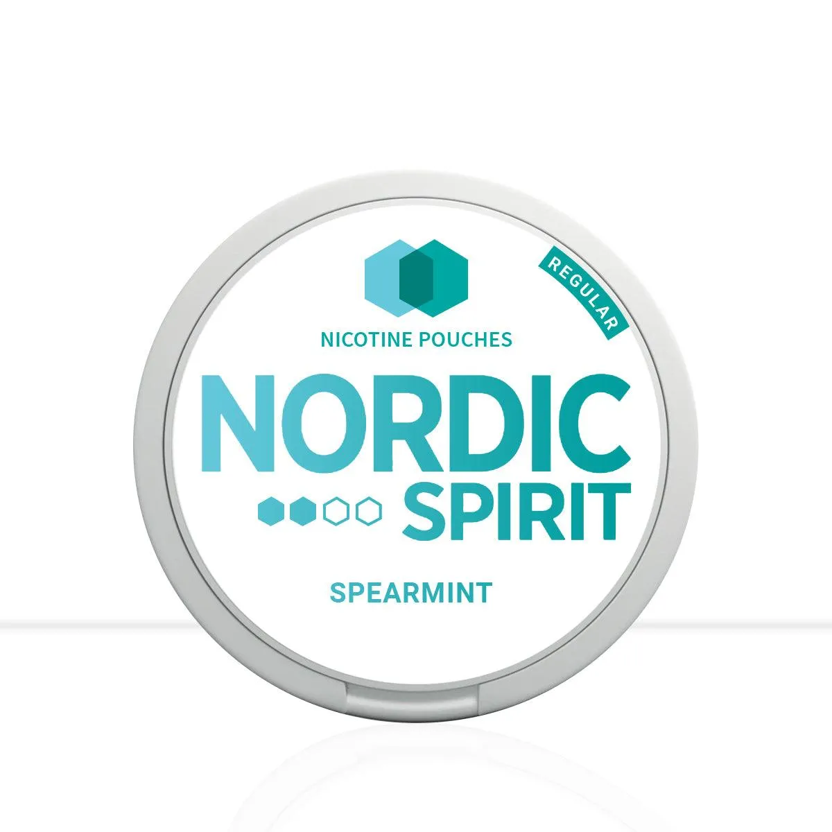 Nordic Spirit Nicotine Pouches Spearmint